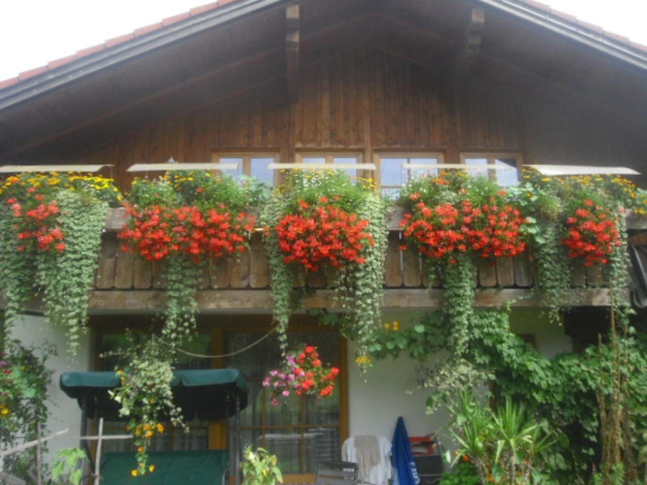 Ferienwohnung Haus Auerhahn Bad Hindelang Exterior foto